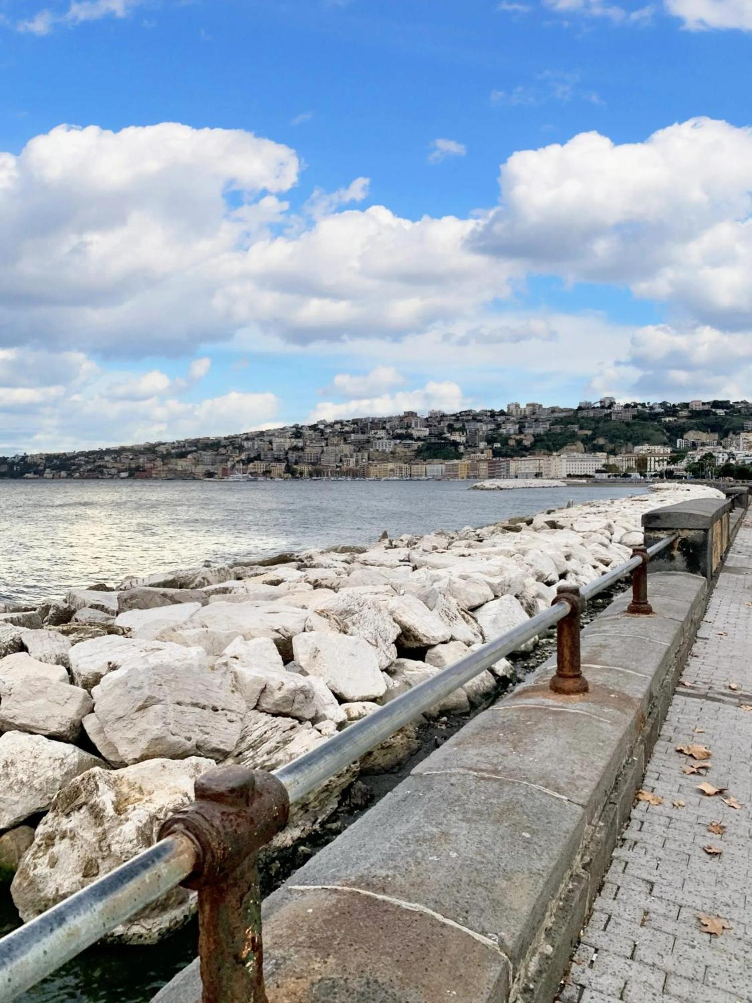 Spacious In With Sea And Views Appartement